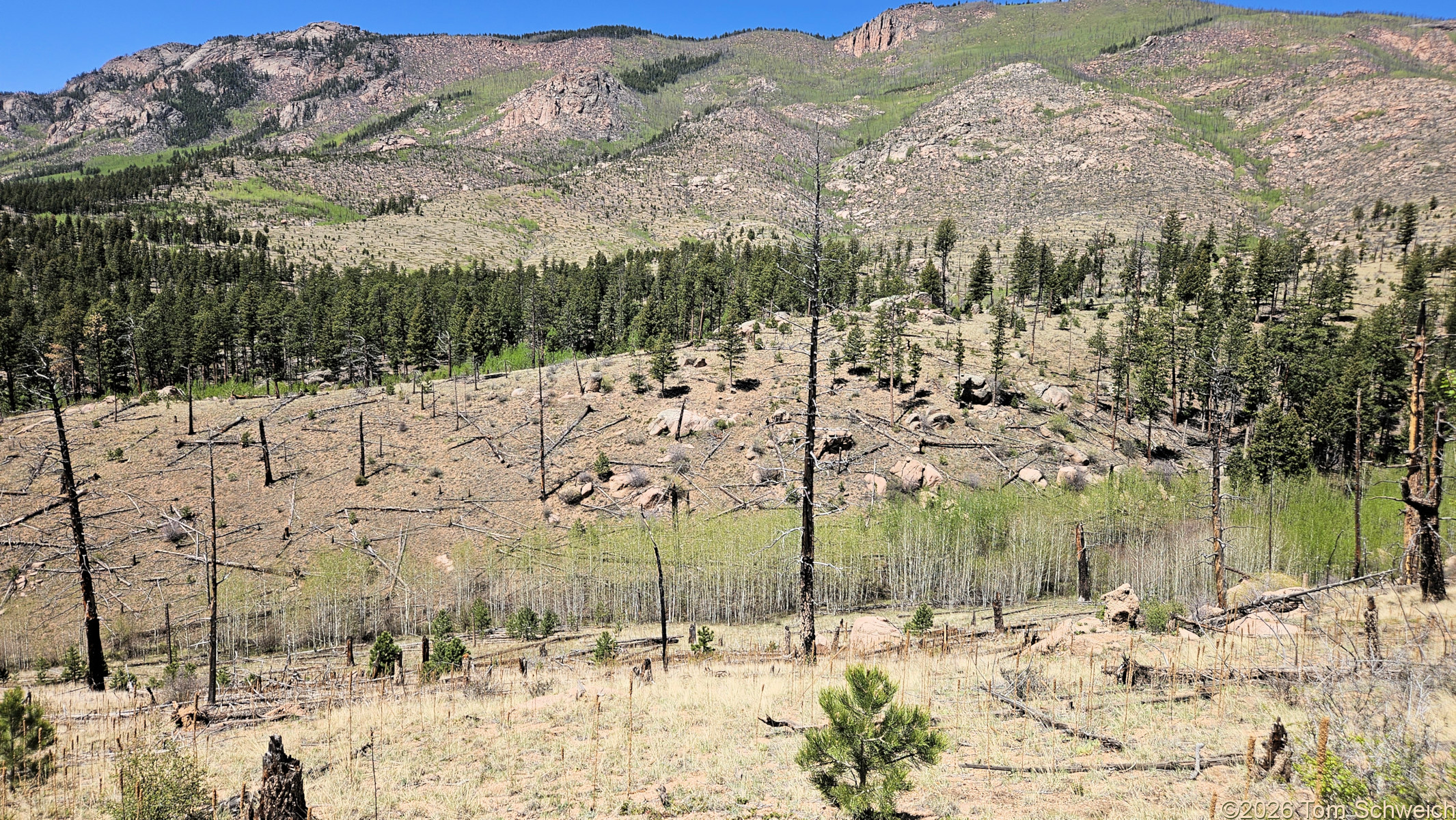 Colorado, Jefferson County, Tarryall East