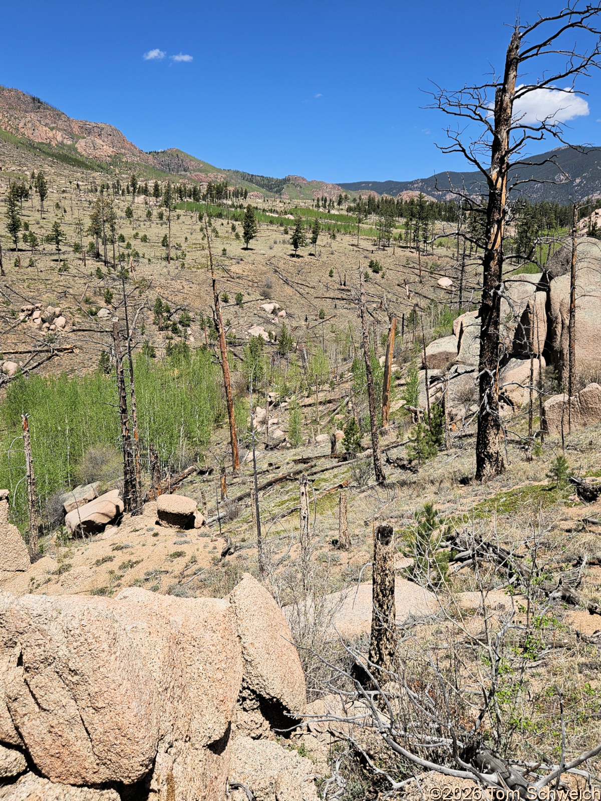 Colorado, Jefferson County, Tarryall East