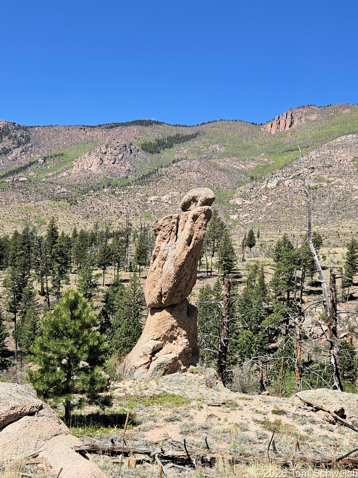 Colorado, Jefferson County, Tarryall East
