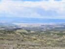 Full Size Image