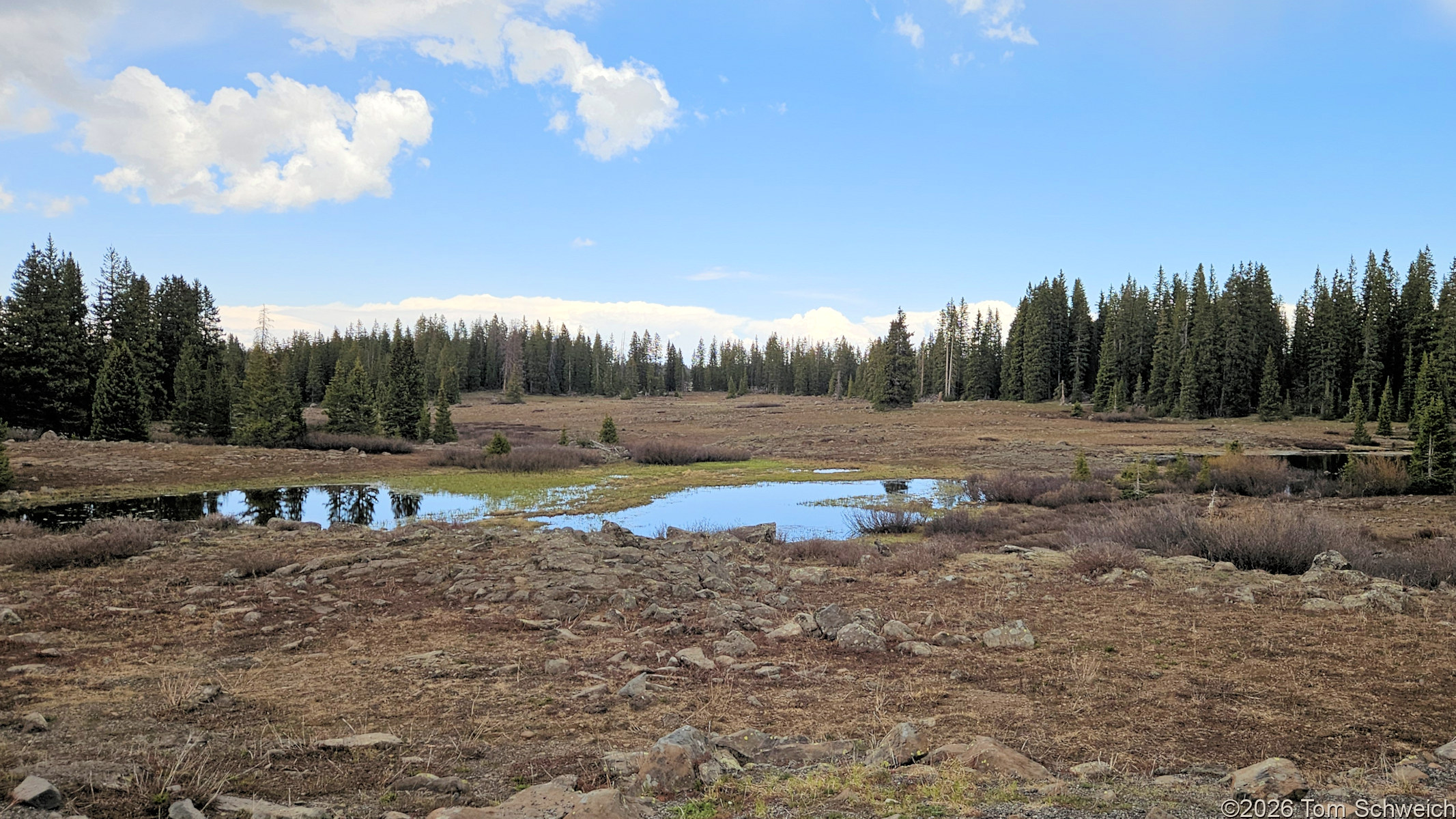 Colorado, Mesa County, Grand Mesa