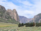 Full Size Image
