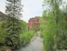 Full Size Image