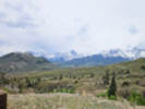 Full Size Image