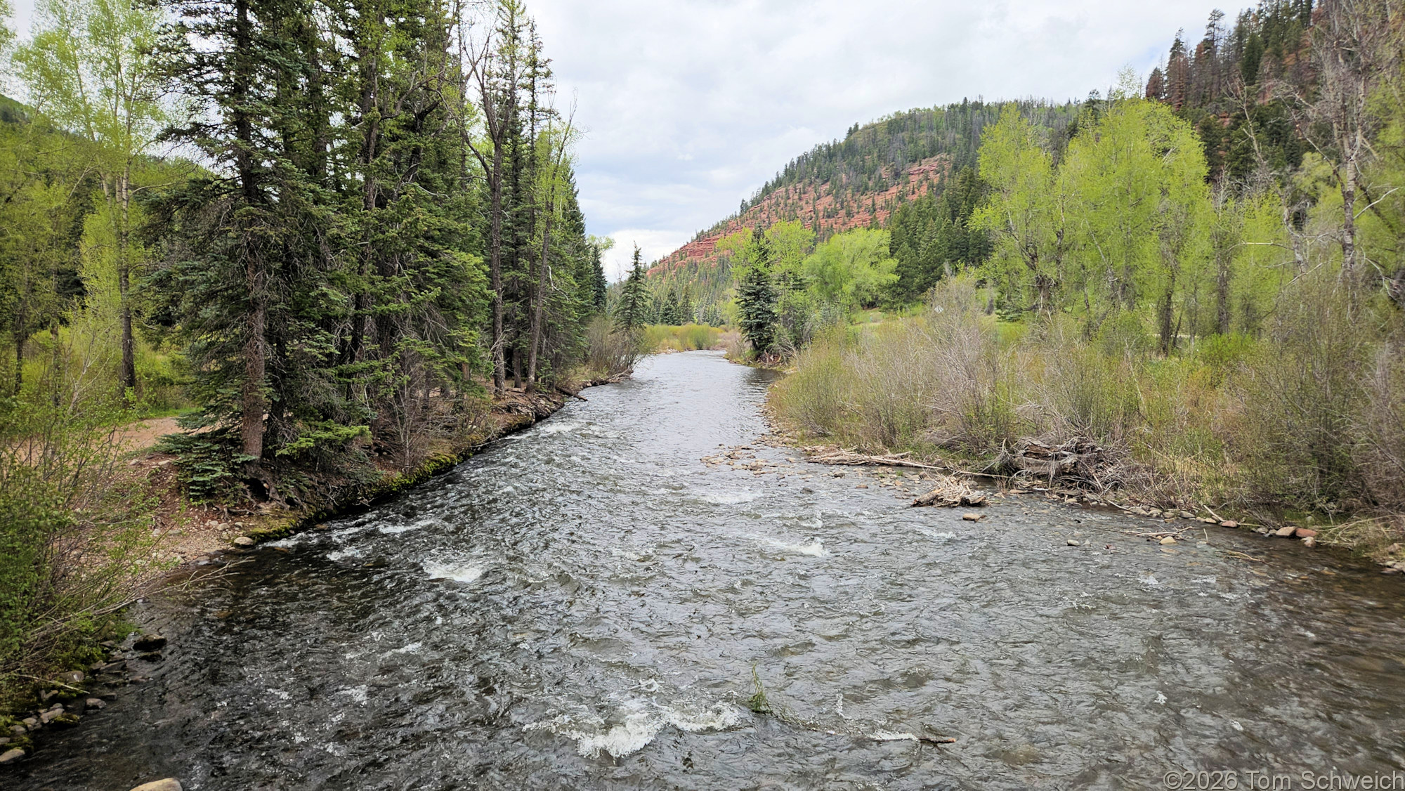 Colorado, Montezuma County, Dolores River, Rio Lado