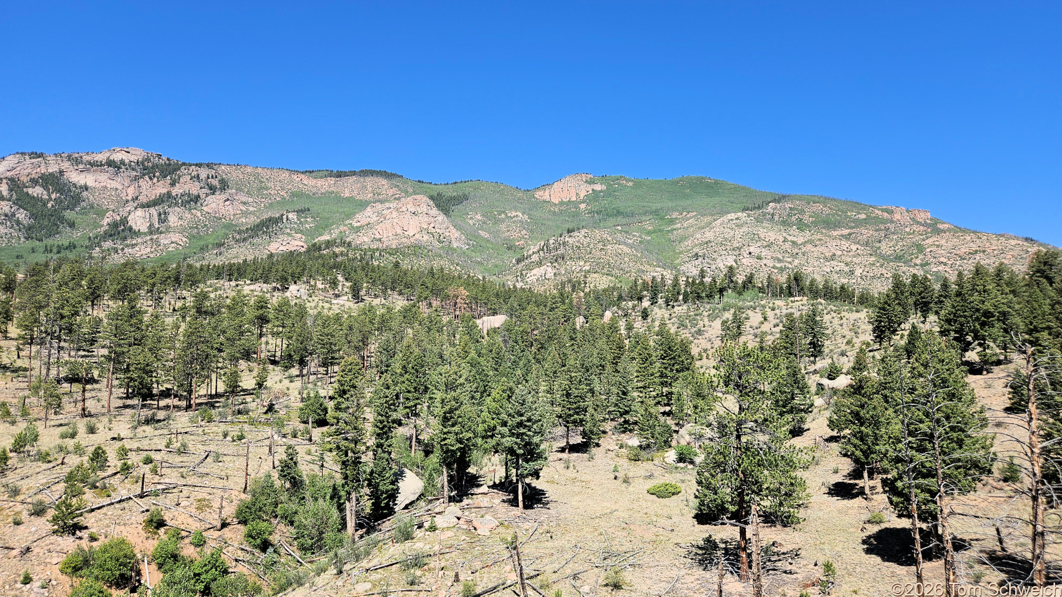 Colorado, Jefferson County, Tarryall East, Twin Creek