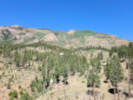 Full Size Image