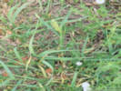 Full Size Image