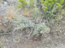Full Size Image