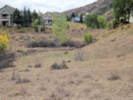 Full Size Image
