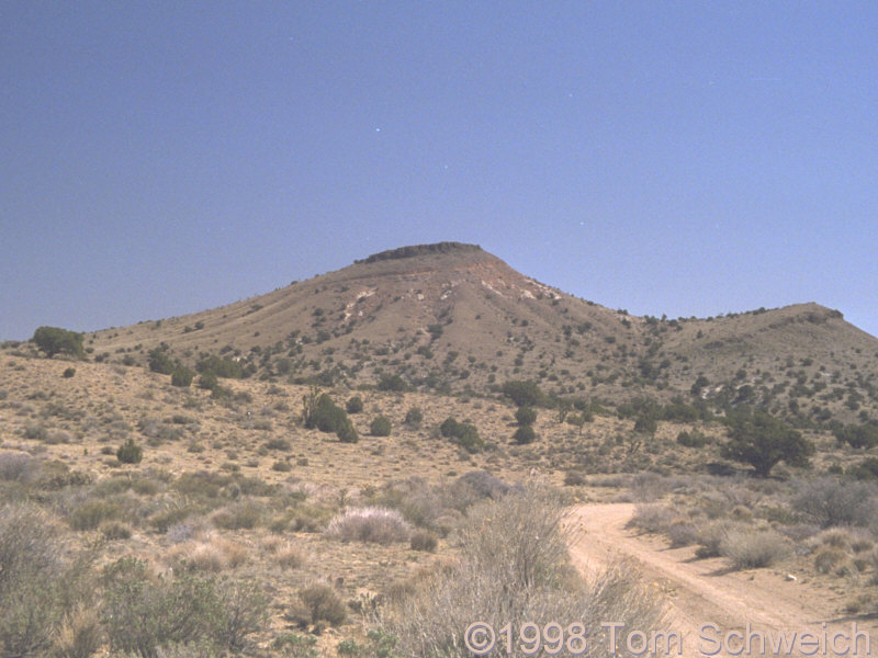 Miocene pyroclastic rocks on the south flank of the New York Mountains.