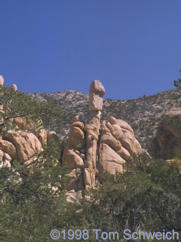 Unusual rock formation in Caruthers Canyon.