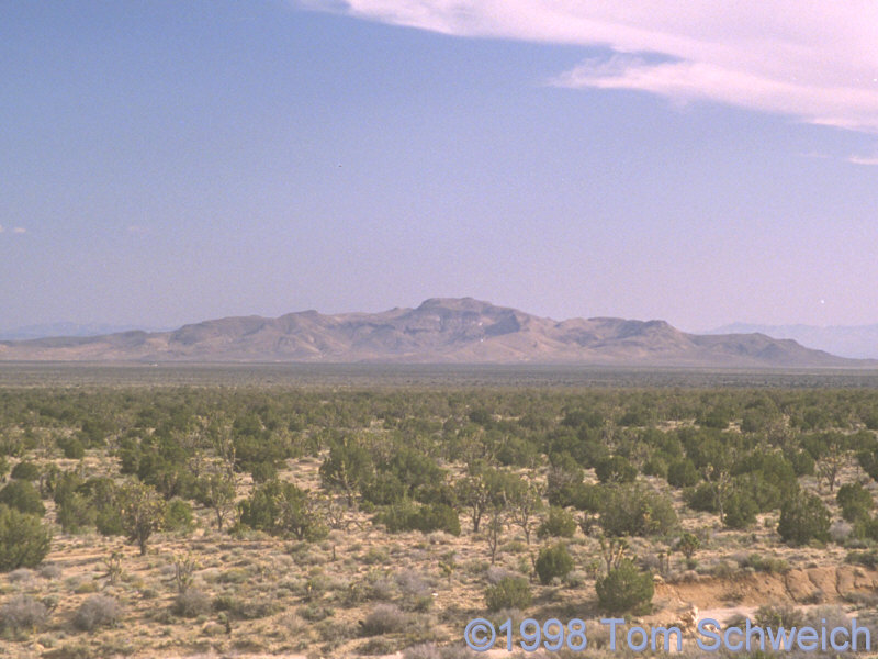 Lanfair Valley and Hackberry Mountain,  seen from the New York Mountains.