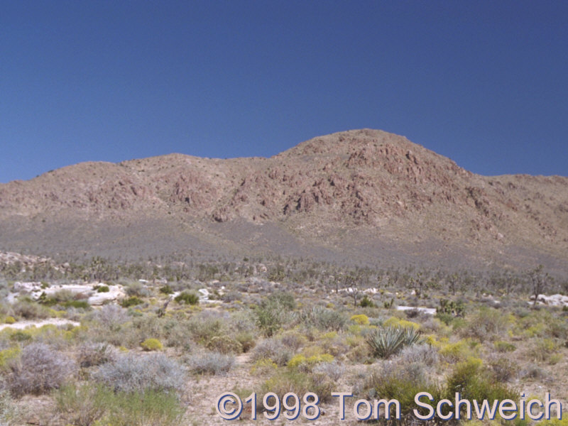 Ivanpah Mountains.