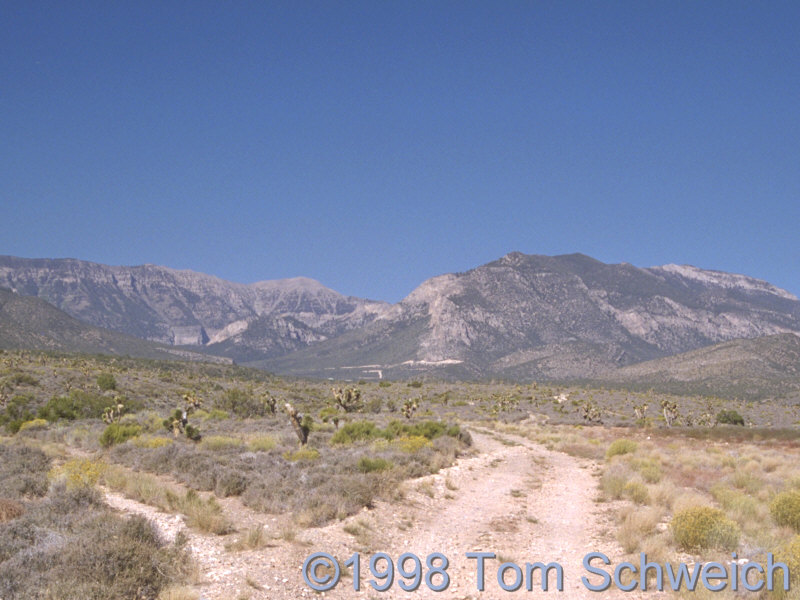 Mt Charleston in the Spring Mountains, Nevada.