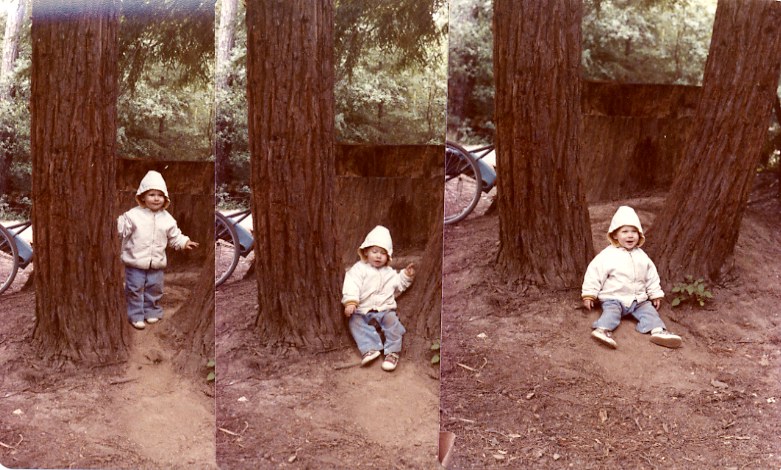 Hendy Woods, 1978, Mendocino County, California