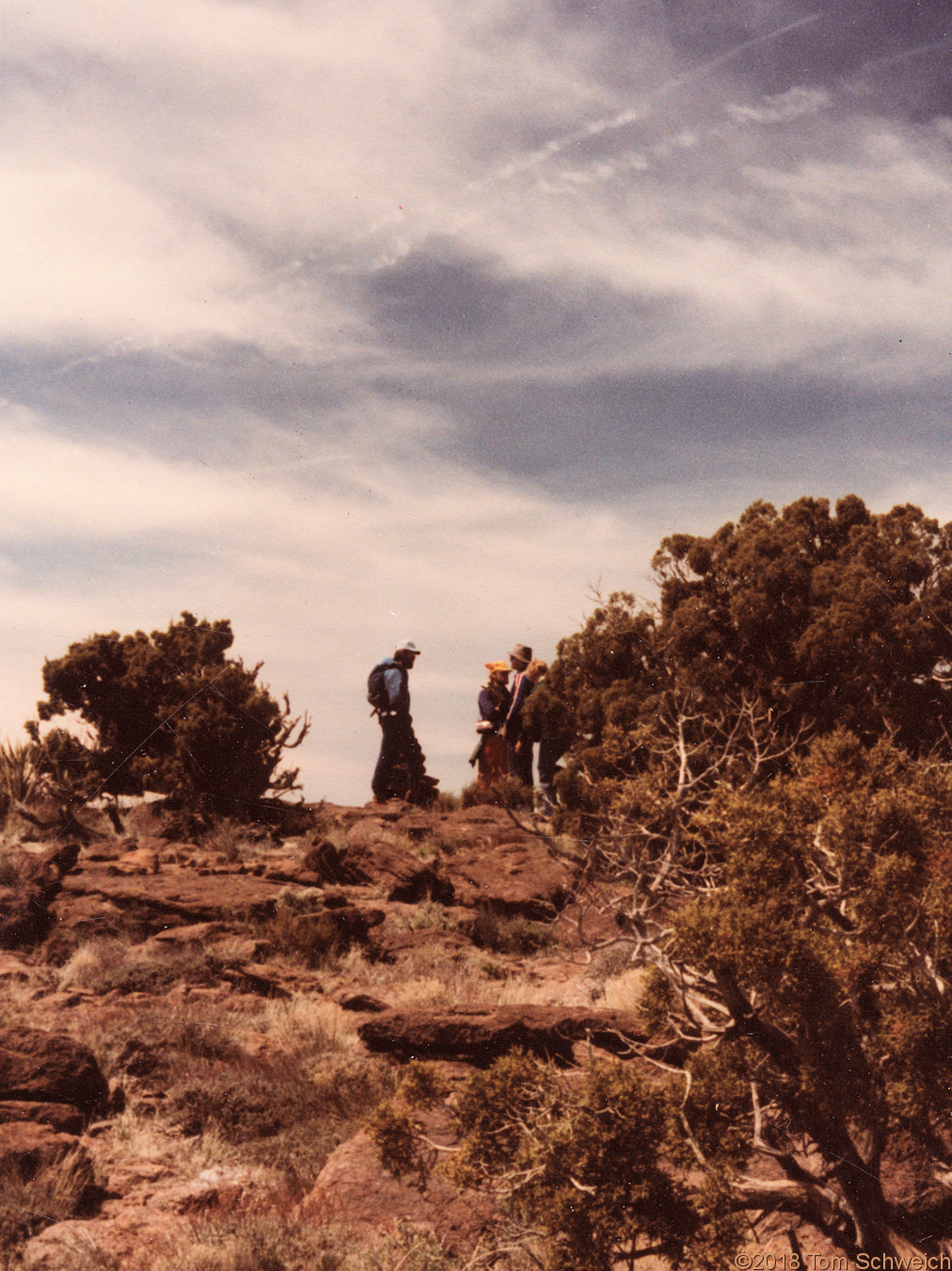 California, San Bernardino County, Wild Horse Mesa