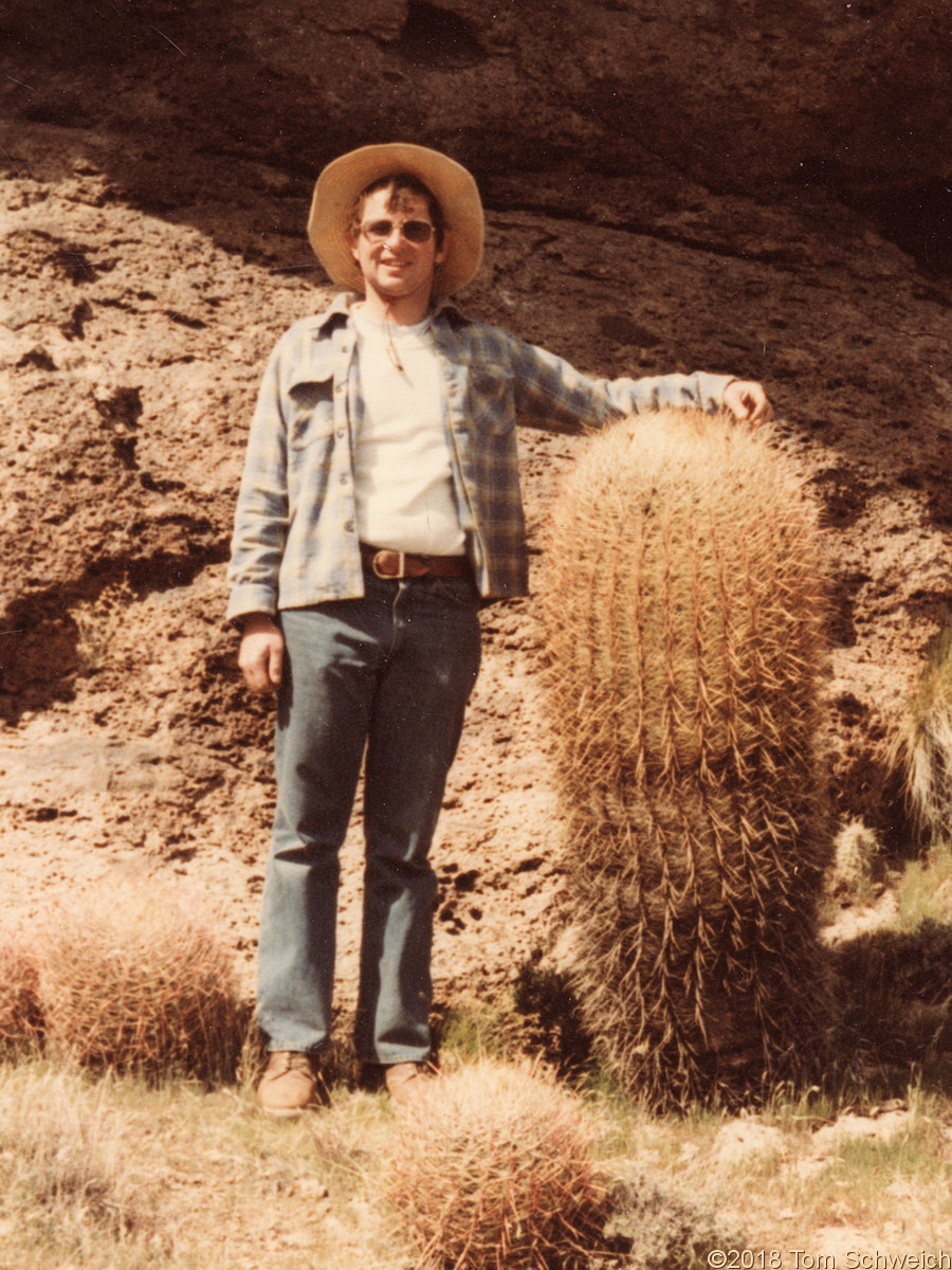 California, San Bernardino County, Wild Horse Mesa