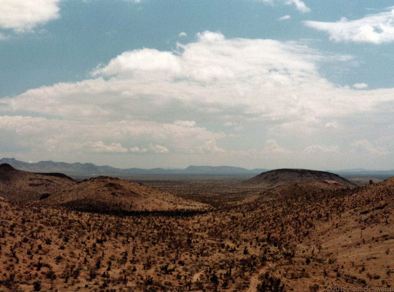 California, San Bernardino County, Lanfair Valley