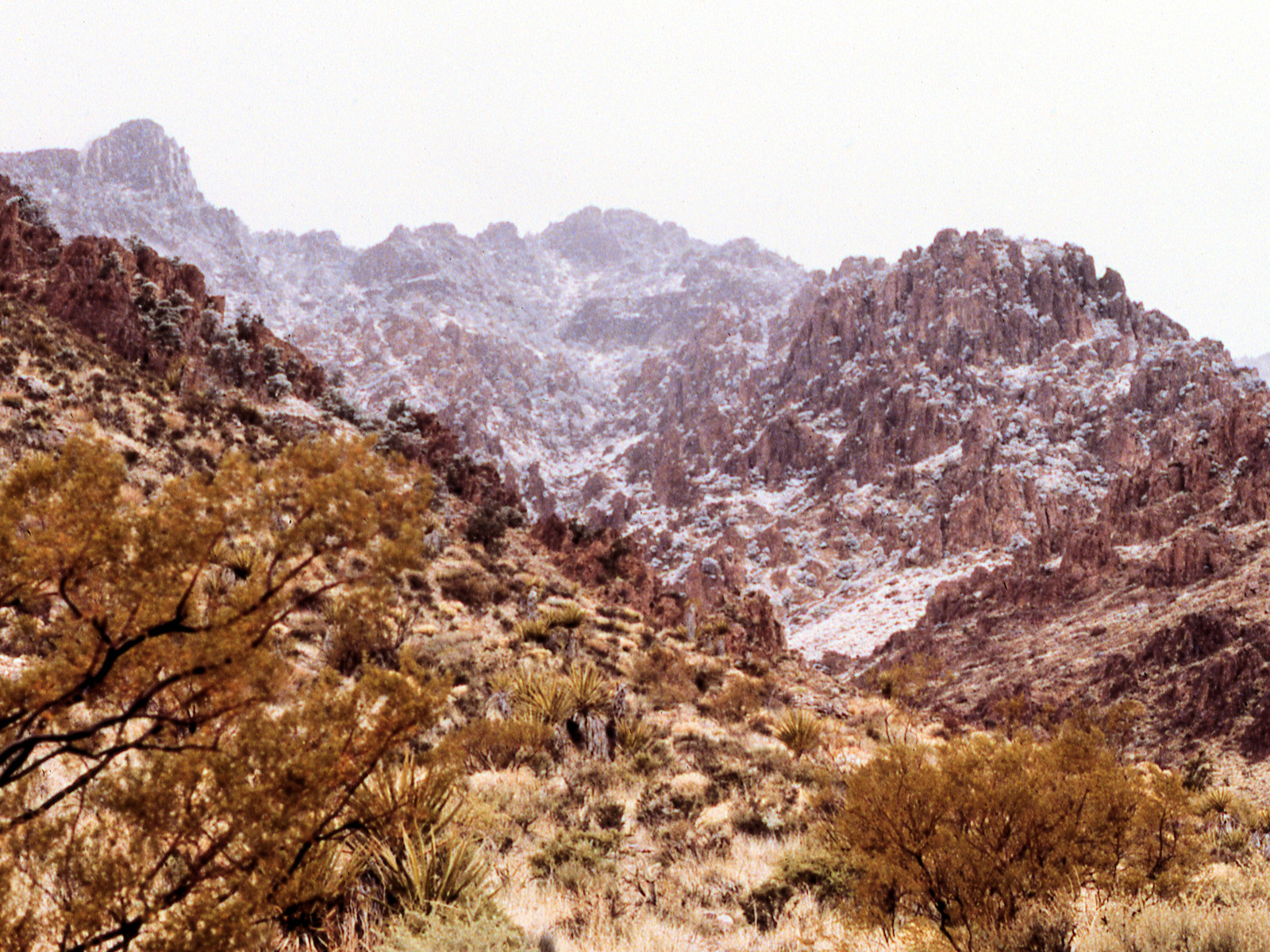 California, San Bernardino County, Mitchell Caverns