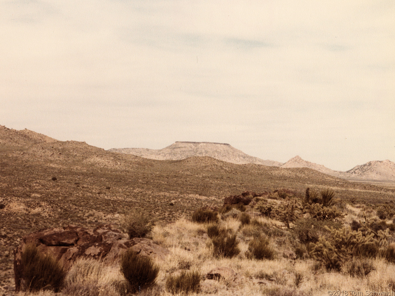 California, San Bernardino County, Table Top