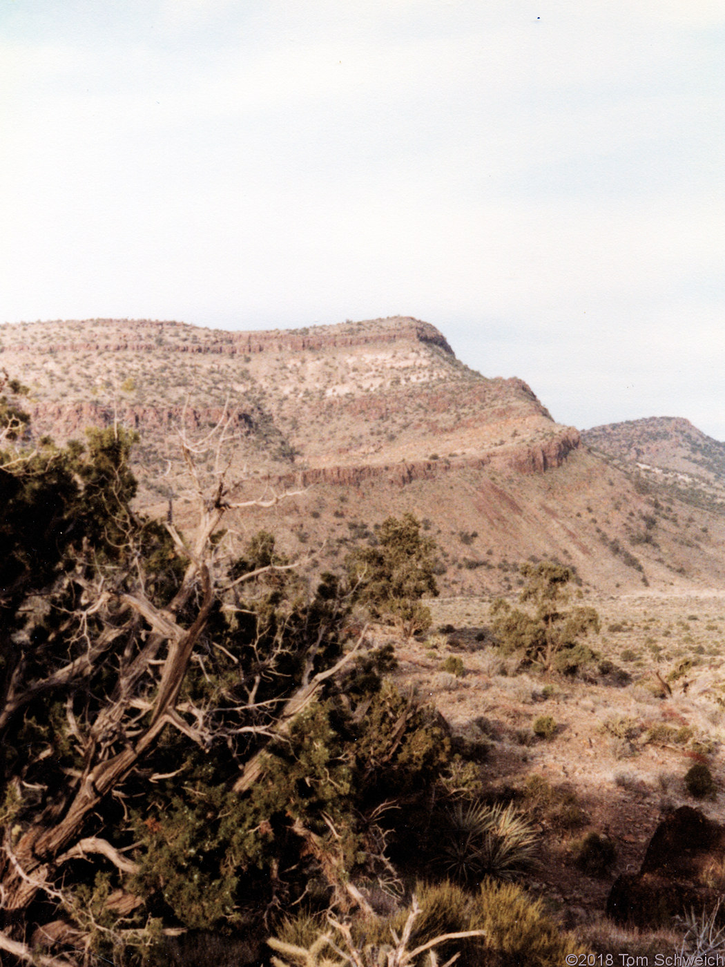 California, San Bernardino County, Wild Horse Mesa