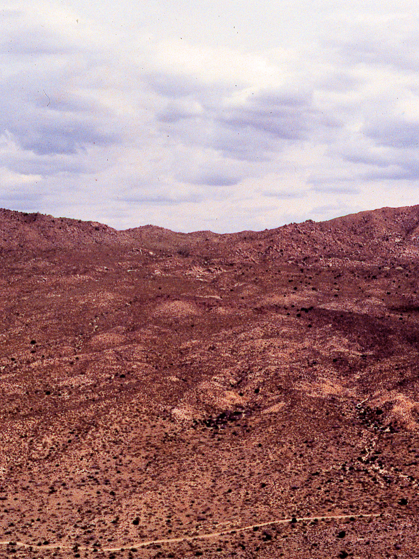 California, San Bernardino County, Barber Mountain