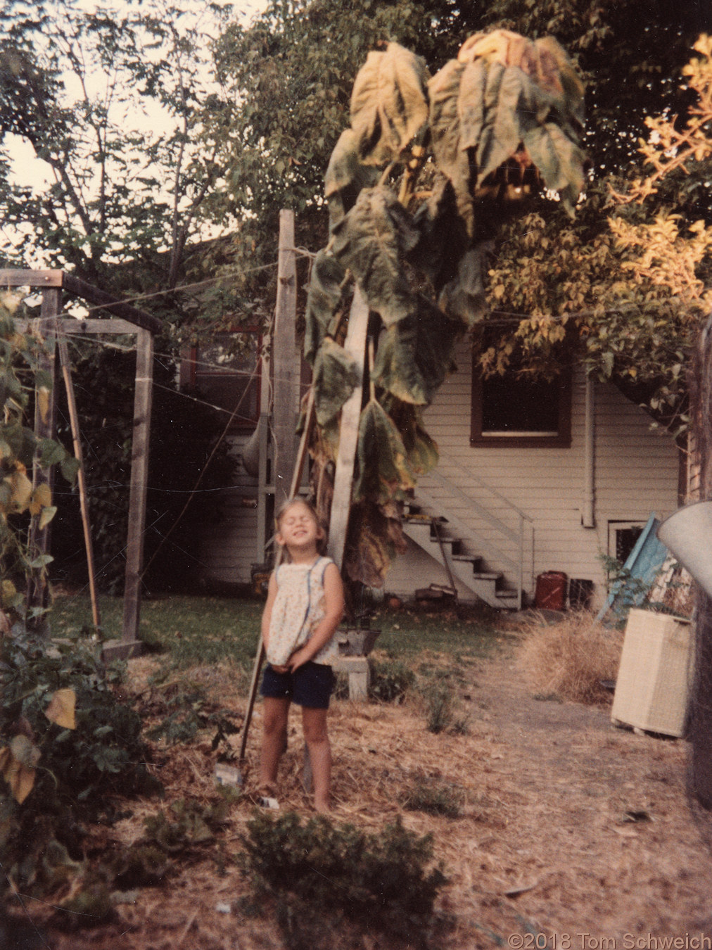 California, Alameda County, Oakland