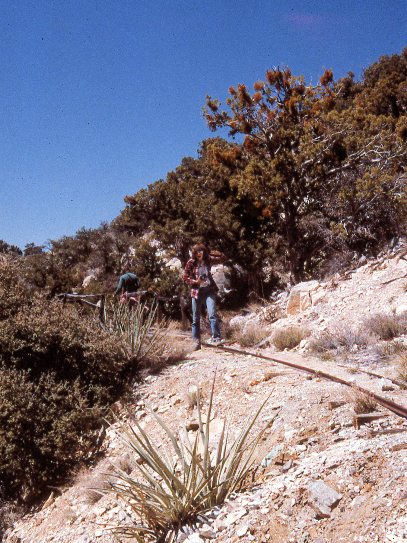 California, San Bernardino County, Keystone Canyon