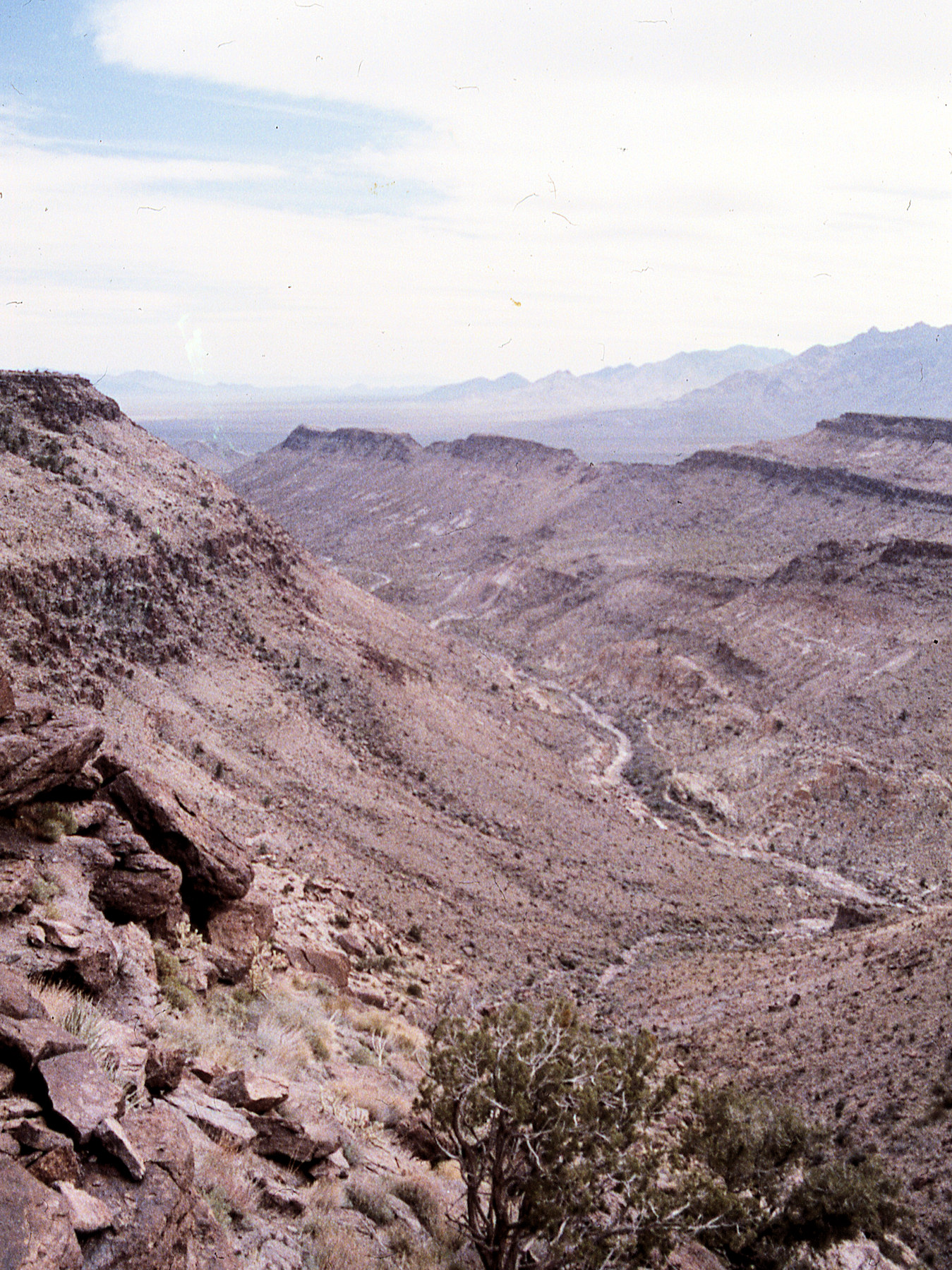 California, San Bernardino County, Wild Horse Mesa