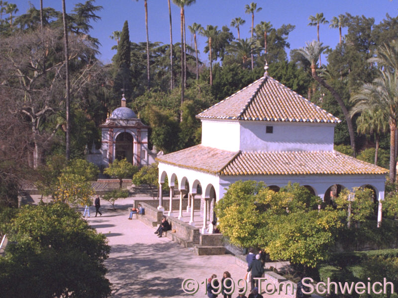 In the grounds of the Alcazar.