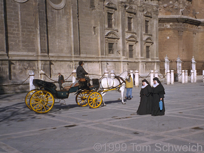 Nuns and a horse carriage behind the Cathedral