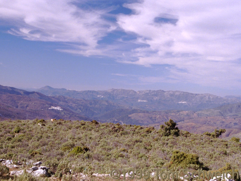 Countryside south of Ronda.