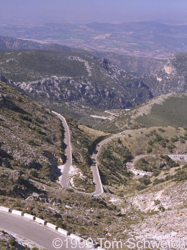 The road to Puerto de las Palomas from Zahara