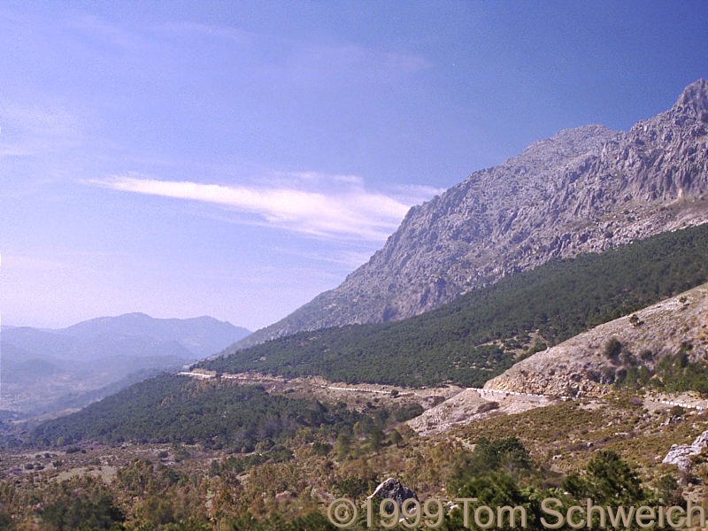 Looking southeast along CA531 in the direction of Grazalema.