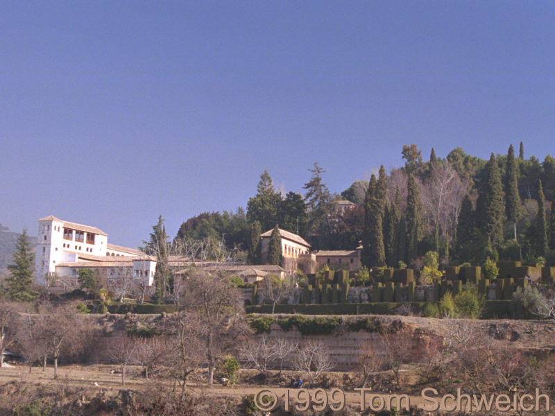 The Generalife from below.