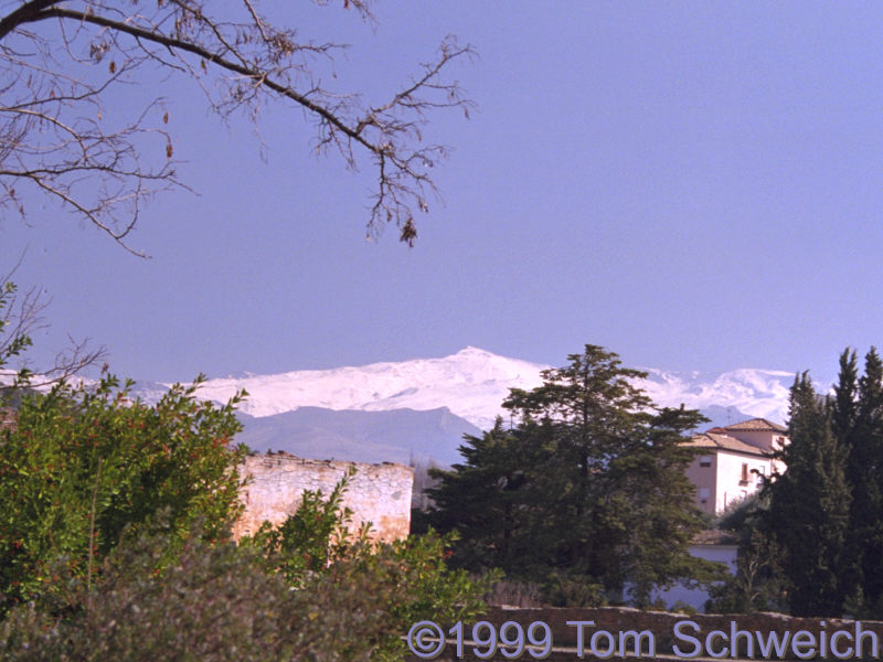 Sierra Nevada from Granada.