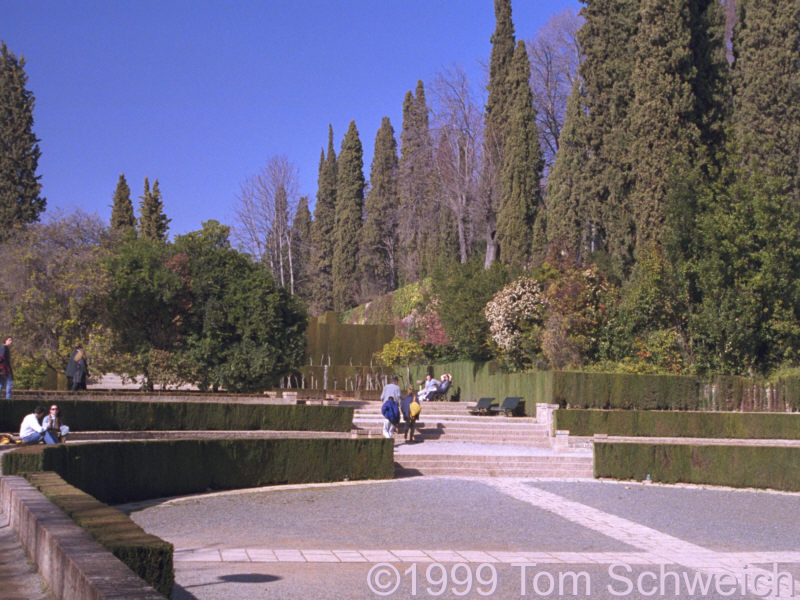 Gardens at the Generalife.