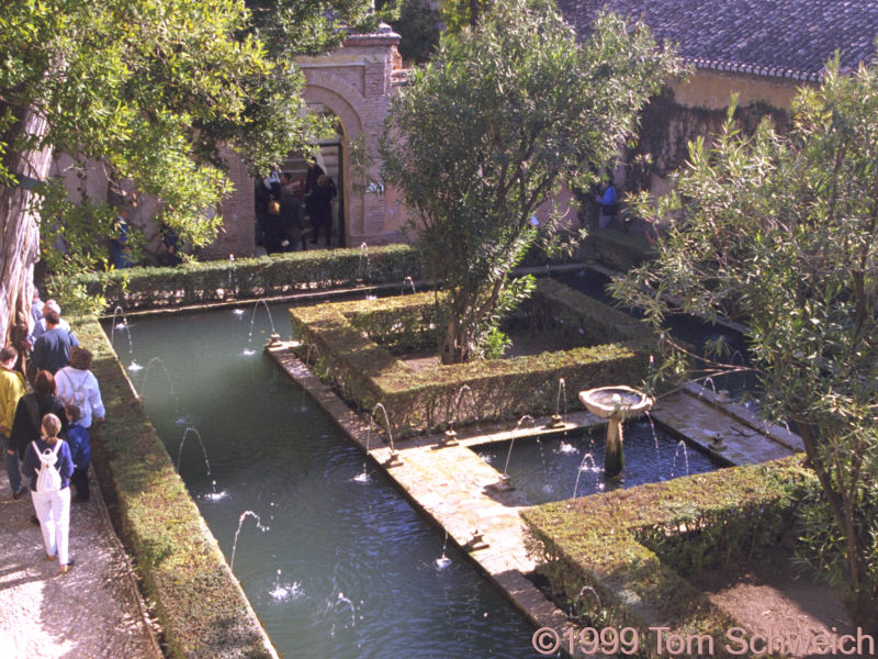 Gardens at the Generalife