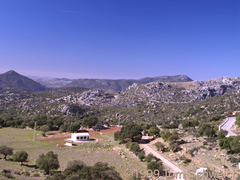 Between Benaocaz and Grazalema.