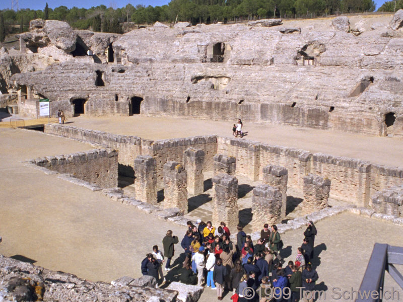 View of the coliseum.