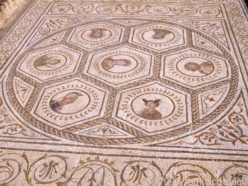 Detail of Mosaic Floor in Italica.