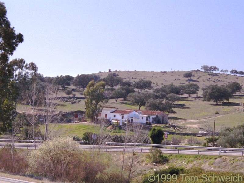 Farm along highway north of Sevilla