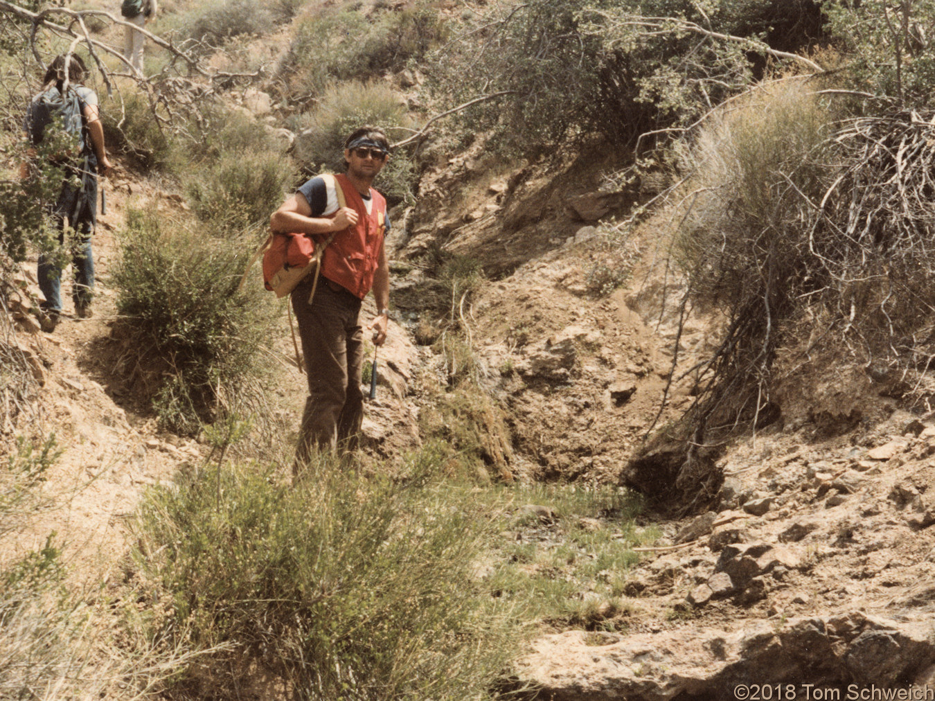 California, San Bernardino County, Providence Mountains