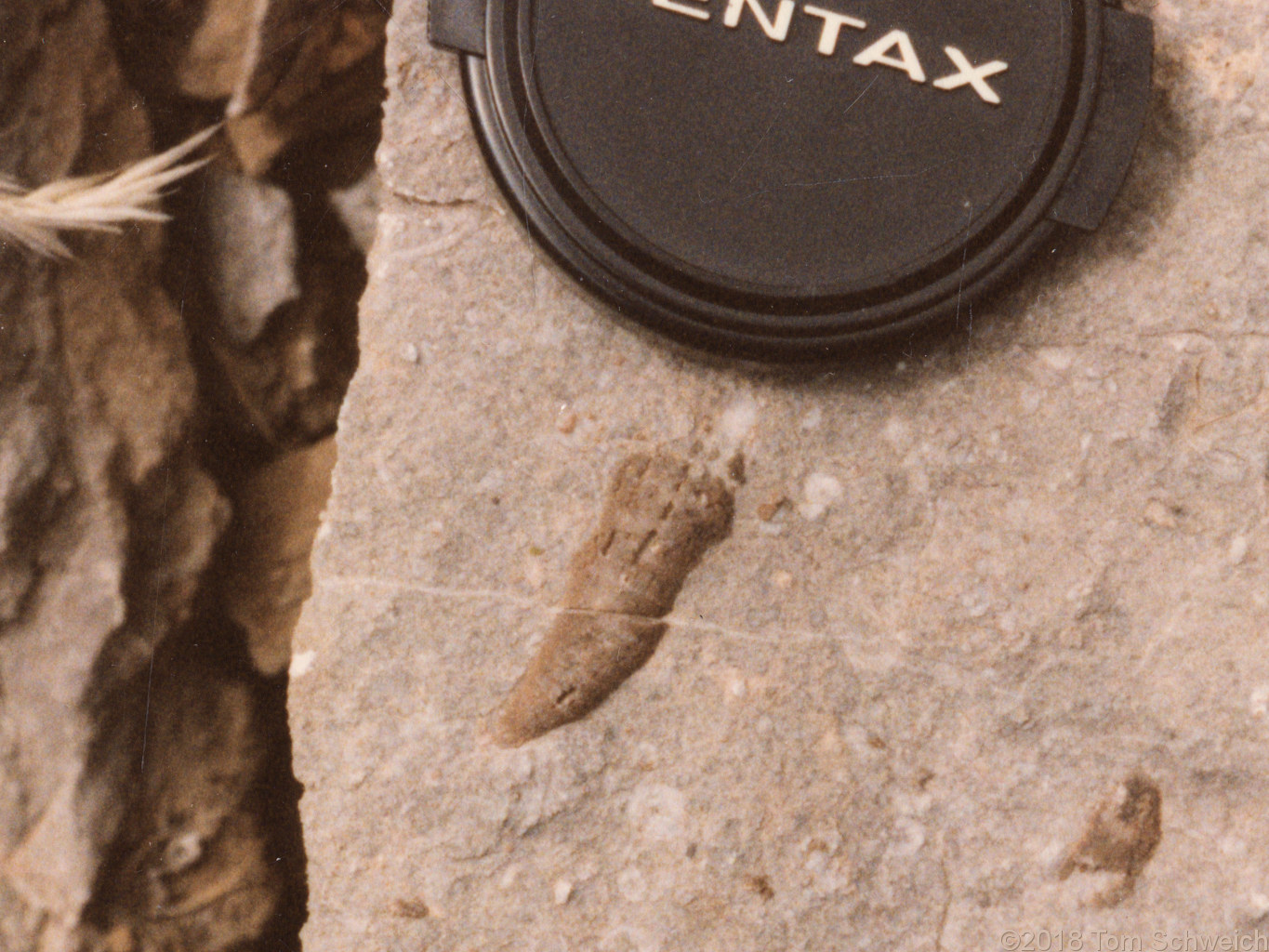 California, San Bernardino County, Bonanza King Canyon