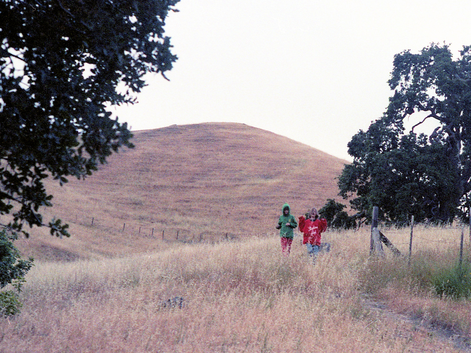 California, Alameda County, Sunol Regional Park