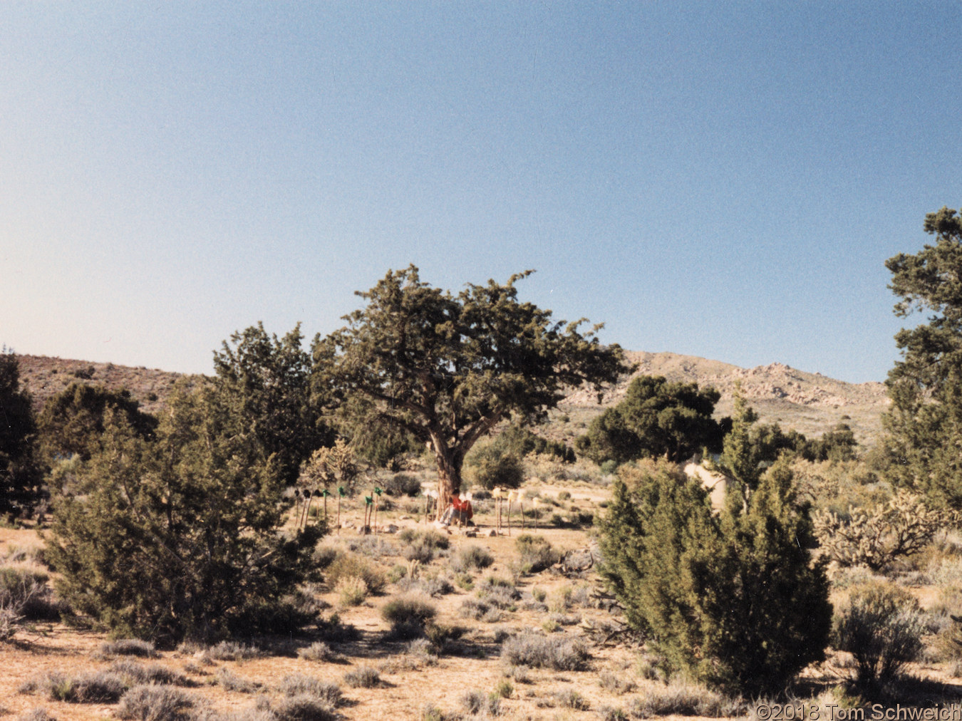 California, San Bernardino County, Lobo Point