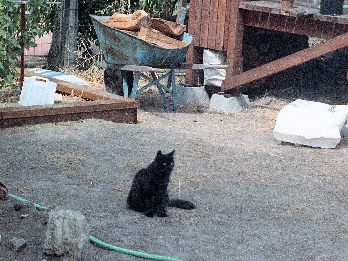 California, Alameda County, Alameda