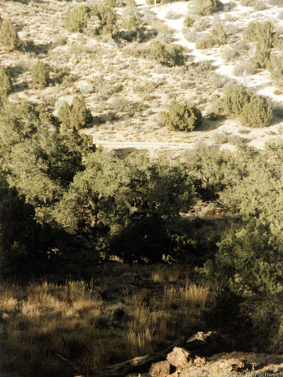 California, San Bernardino County, Lobo Point