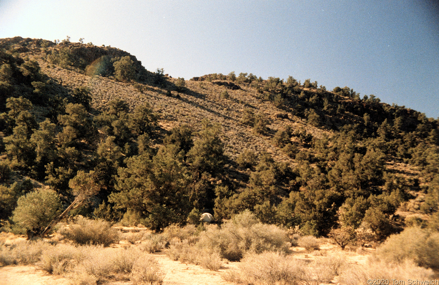 California, San Bernardino County, Lobo Point